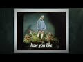 Billie Eilish Billie Bosa Nova Lyric Video