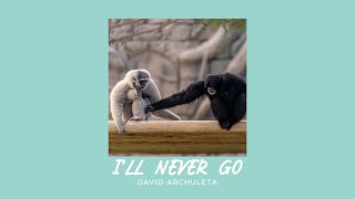 David Archuleta - I&#39;ll Never Go (Sped Up)