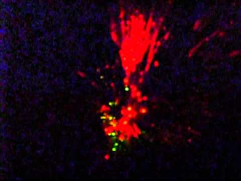 Digitální Exil - Digitální Exil - Světýlko