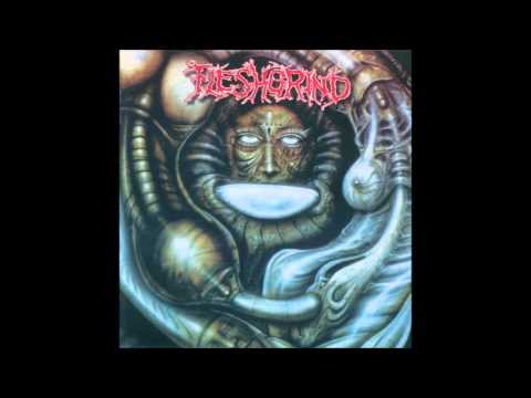Fleshgrind - Sordid Degradation (HQ)
