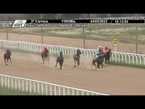 SINT MELO - 230504 c03 1° ONE AND ONLY