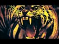 ShockFront - EYE OF THE TIGER (80s Metal ...