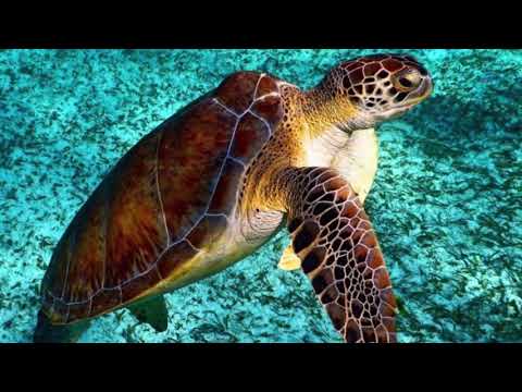 Let’s explore the world by Srinidhi Rao