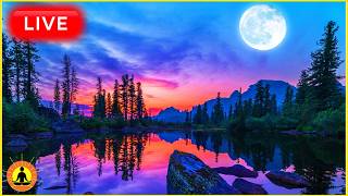 🔴 Soft Sleep Music 24/7: Deep Sleep Music, Peaceful Music, Sleep Relax