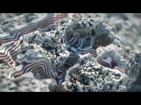 CGI VFX Animated Shorts HD  Seed   edited