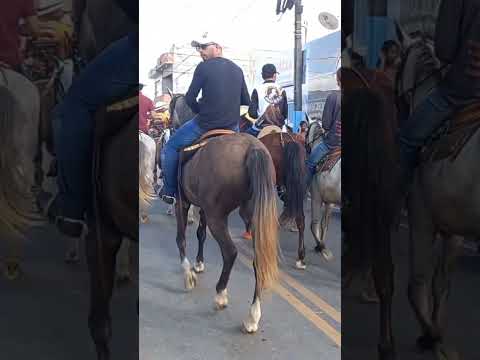 Festa de Vaquejada