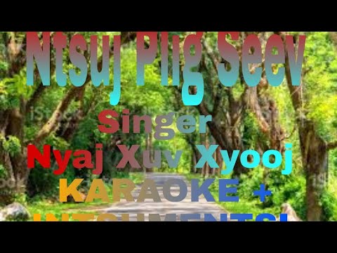 Ntsuj Plig Seev || Karaokr + Intsumental || Singer Nyaj Xuv Xyooj