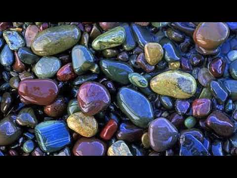 Shinouda - New Beginning