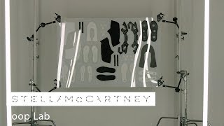 Loop Shoe Master Lab