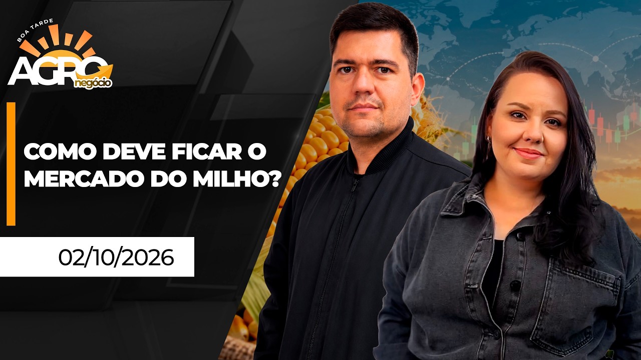 BOA TARDE AGRO - Como deve ficar o mercado do milho?