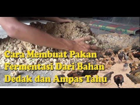 Bromo untuk Impotensi Ada lecet pada kepala penis kecil yang bisa