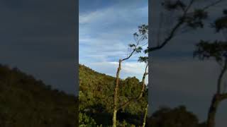 Download lagu Banda Neira - Sampai jadi debu (Story wa) mp3 Download lagu Banda Neira - Sampai jadi debu (Story wa) mp3