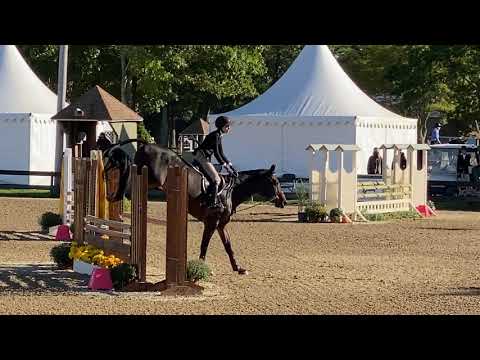 Isabella David and Contelido 3'3" USHJA Hunter Seat Finals - Second Round
