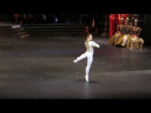 Sergei Polunin - The Swan Lake 20.06.2013