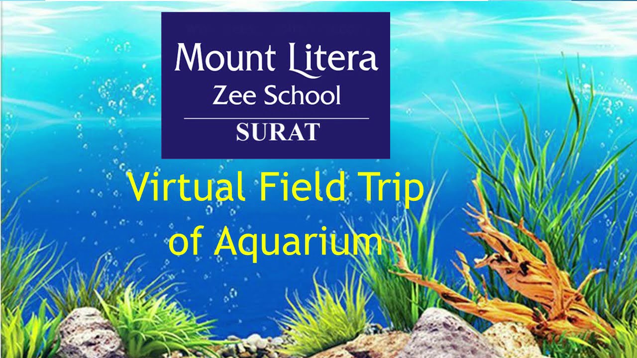 Virtual Field Trip of Aquarium