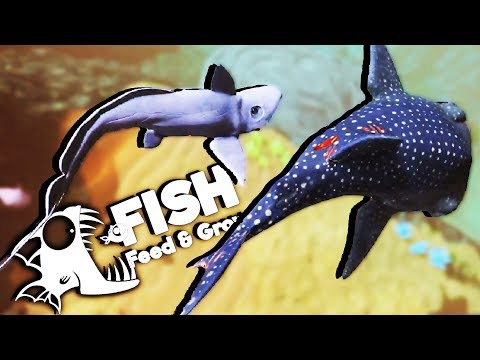 Deadliest Shark Ever! - Deep Water Ghost Shark! - Feed and Grow Fish Gameplay - New Update
