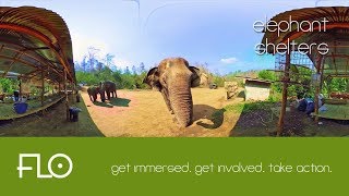 001 - Elephant Shelters