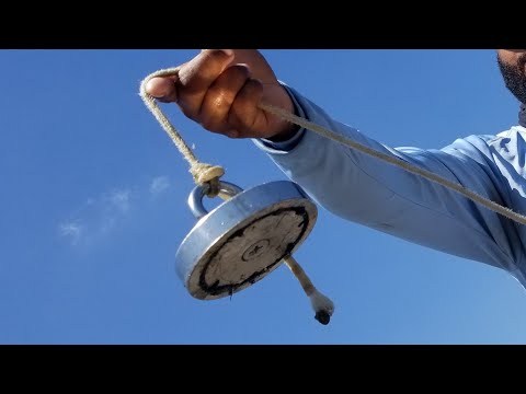 Magnet Fishing Urban Canal in Miami