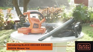 Black+Decker GW3030 - відео 3