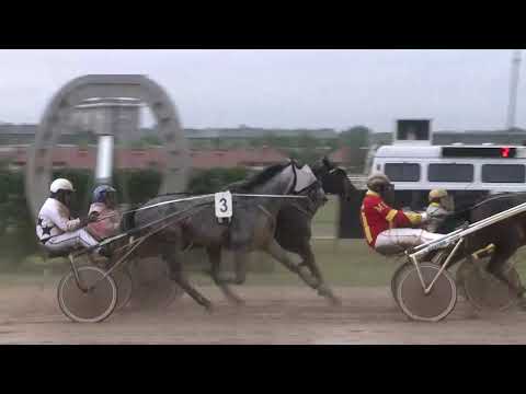 2019.05.04. 07. futam - DINGÓ DÍJ