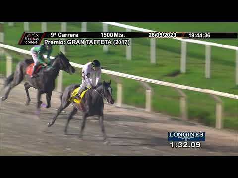 230526 c09 - LEONIDES (ARG) - HIPODROMO DE MAROÑAS