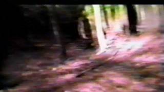 SKINNY PUPPY &#39;Dogshit&#39; TOO DARK PARK Backing Film excerpt (HQ Audio)