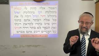 תנ"ך ואקטואליה 95 - עשו וישמעאל - נצרות ואסלאם בתקופה שלפני הגאולה - הרב ינון קלזאן (הרב ינון קלזאן) - התמונה מוצגת ישירות מתוך אתר האינטרנט יוטיוב. זכויות היוצרים בתמונה שייכות ליוצרה. קישור קרדיט למקור התוכן נמצא בתוך דף הסרטון