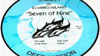 DJ Arne L II vs. DJ Mirko Milano - Cubus (Seven Of Nine)