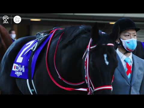 CONTRAIL BOWS OUT WITH A DOMINANT JAPAN CUP WIN コントレイル、ジャパンカップ優勝！