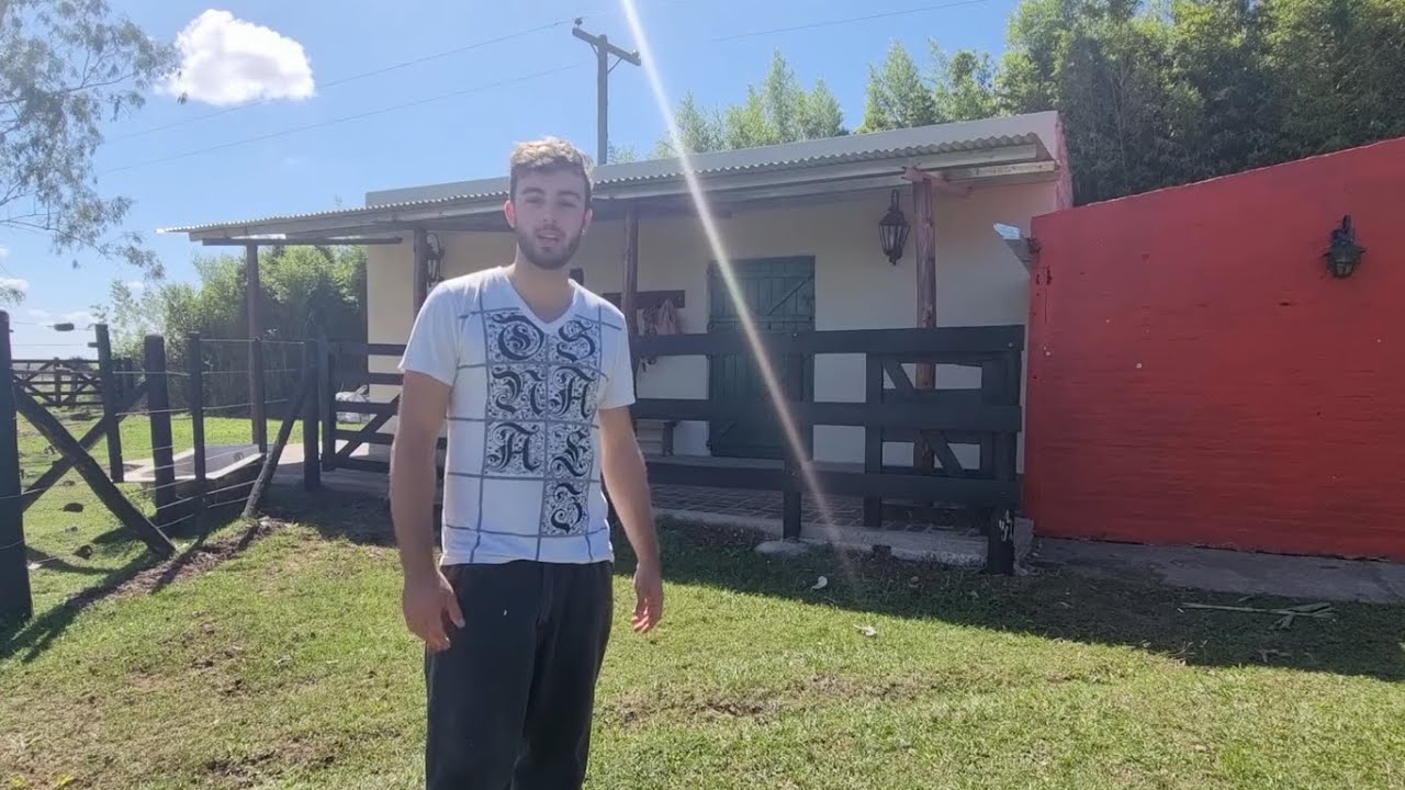 Watch Box Para Caballos Explicación/Los Yeguarizos Pinto Now Box Para Caballos Explicación/Los Yeguarizos Pinto