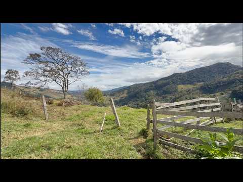 VIDA BOA É A VIDA DA ROÇA - SILVESTRE - DELFIM MOREIRA MG