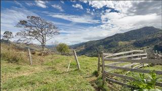 VIDA BOA É A VIDA DA ROÇA - SILVESTRE - DELFIM MOREIRA MG