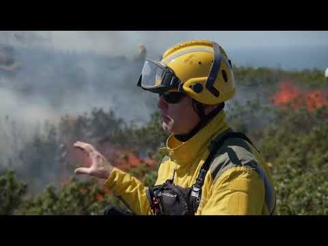Hasit ohněm - zažehněte s námi oheň, který obnovuje krajinu