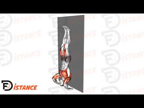 Exercice Pompes trichées en équilibre contre le mur (Kipping HSPU)