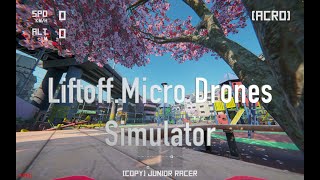 FPV Liftoff Micro Dones SIM - Japan town.  Me and My Skate Air 75 Style