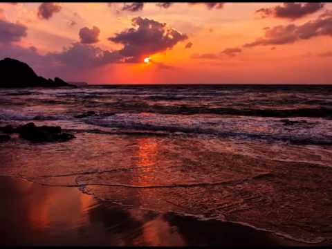 Dragomir Majkić - Leptirići mali