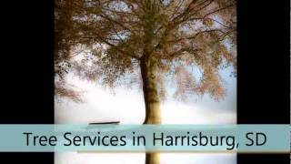 preview picture of video 'Tree Services Harrisburg SD Gleason's Instant Tree Company, Inc.'