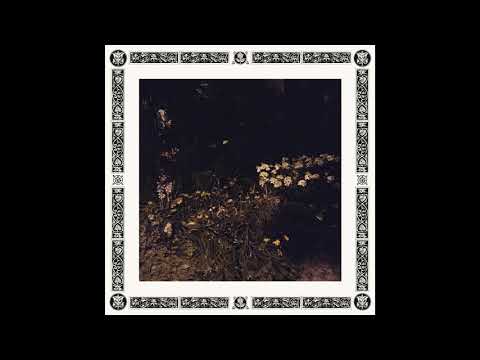 Sarah Davachi - Pale Bloom (2019) Full Album