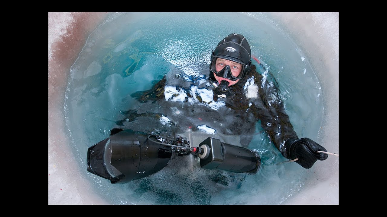 Frozen Planet's Doug Allan Gets attacked by a Walrus! - YouTube