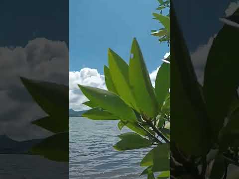 suba n suhi #beachday #nature