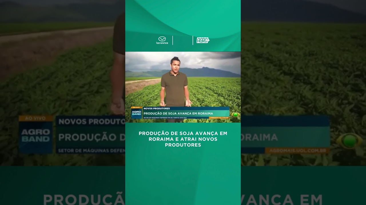 Produção de soja avança em Roraima e atrai novos produtores