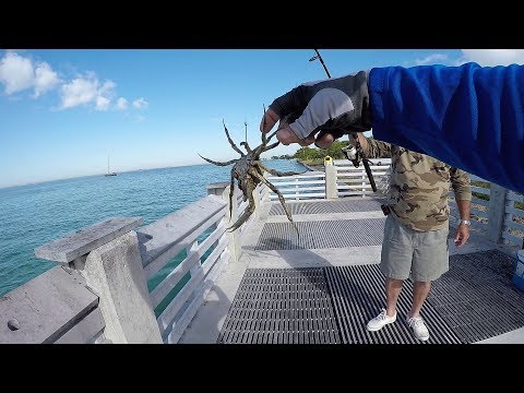 Bill Baggs Cape Florida State Park Fishing