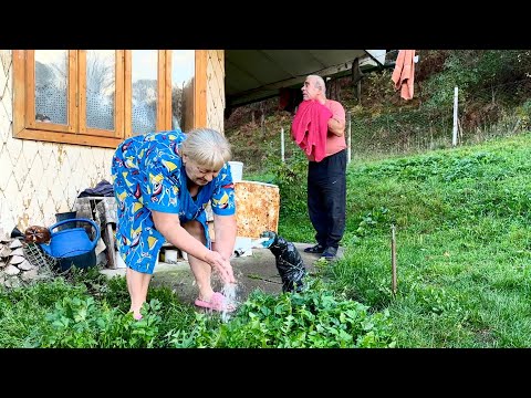 Happy old age of an elderly couple in a Ukrainian mountain village