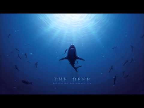 Falscher Hase - Rückblick (Dezember 2012)