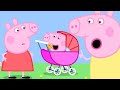 | George Pig Becomes a Baby Piggy