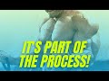 Failure is a Part of the Process! Stand Up!