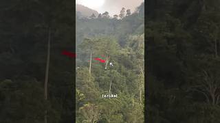 Download lagu APES! KEMAGRIBAN PULANG DARI CURUG KETEMU KUNTILANAK NONGKRONG #viral #shorts #gunung #kuntilanak mp3