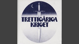 Music video thumbnail preview for Perspektiv by Trettioåriga kriget