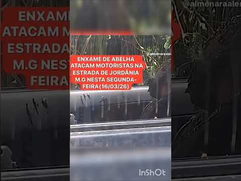 ATAQUE DE ENXAME DE ABELHAS ATINGE MOTORISTAS NA ESTRADA DE JORDÂNIA/MG