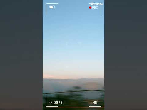 marygold flower/natural